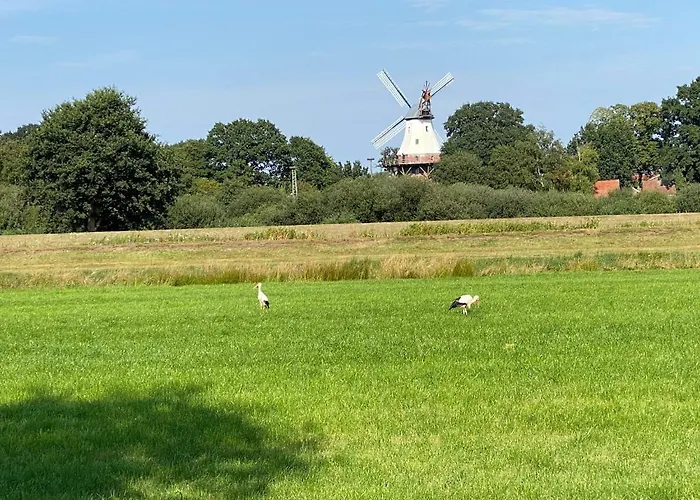 Haus Seerose Direkt Am Harkebruegger Neubau! * Barssel (Cloppenburg)
